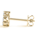 EARRINGS CLUSTER