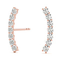 14K Rose Gold 1/5 ct tw Fashion Diamond Earring